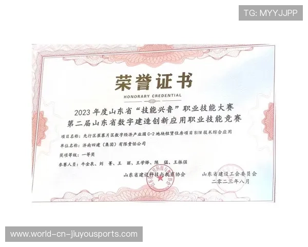 职业联赛的赞助模式创新实践方案